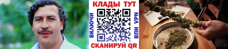 Виды наркотиков купить Дубовка ГАШИШ КОКАИН Меф мяу мяу ЭКСТАЗИ Канабис APVP