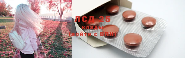 прущие крисы Михайловск