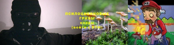 прущие крисы Михайловск