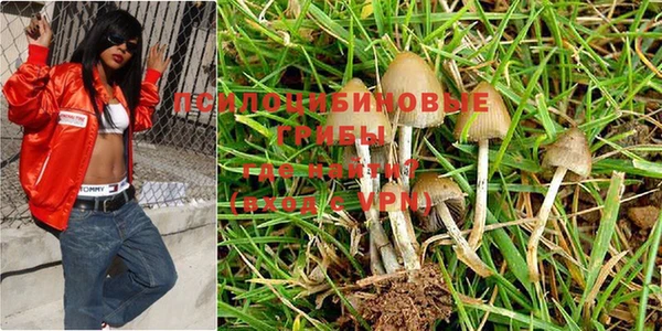 молекула духа Беслан