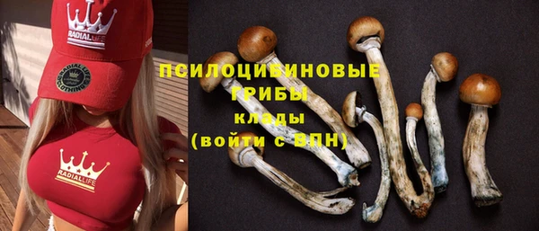 крисы Бикин