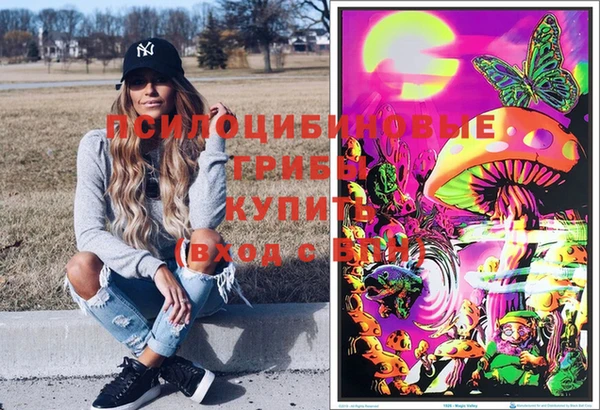 дурь Михайлов