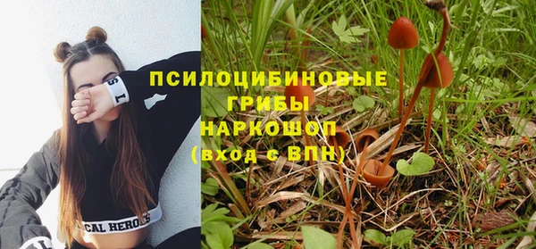 дурь Михайлов